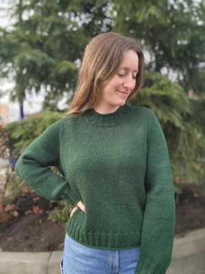 Kit - Carranam Sweater (in testing)