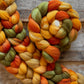 Spinning Fiber