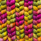 Celosia
