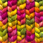 Celosia