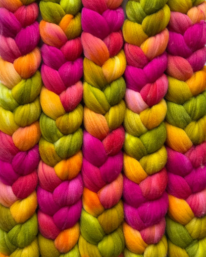 Celosia