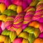 Celosia